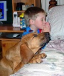 dog_and_a_child_praying