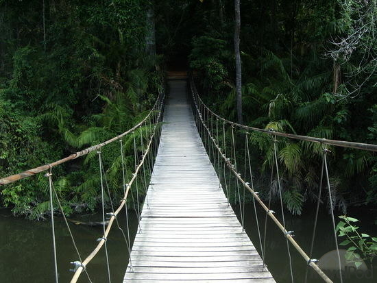 suspension-bridge